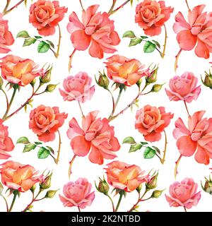 Aquarell-Muster von Rosen. Musterhintergrund aus roten und rosa Rosen mit Blättern und Stielen auf weißem Hintergrund. Stockfoto