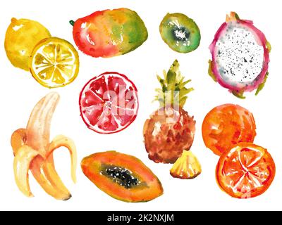 Aquarell Sammlung von Früchten. Verschiedene exotische Früchte auf weißem Hintergrund. Stockfoto