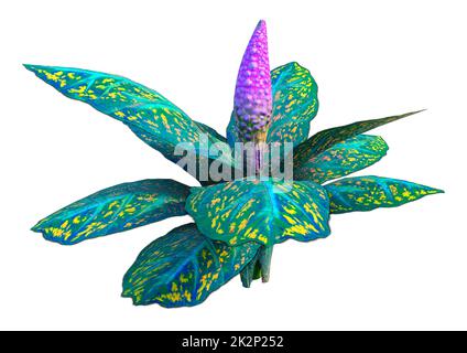 3D-Rendering Alien Pflanze auf Weiß Stockfoto