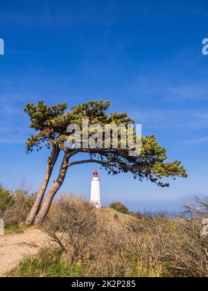 Der Leuchtturm Dornbusch auf der Insel Hiddensee, Deutschland Stockfoto