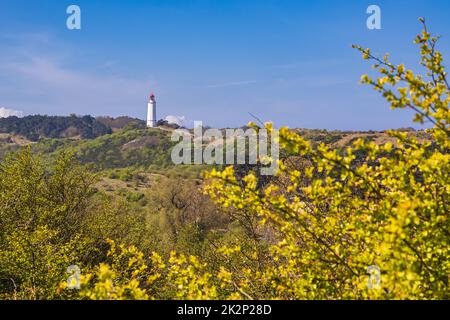 Blick vom Berg Swantiberg auf den Leuchtturm Dornbusch auf der Insel Hiddensee, Deutschland Stockfoto