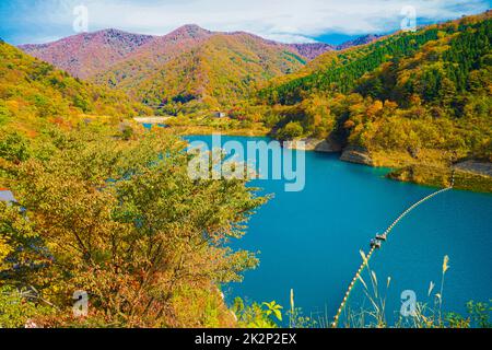 Okaw 4000 Herbstblätter Stockfoto