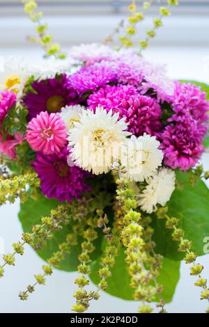 Blumenstrauß aus Weiß und Rosa Chrysanthemen Stockfoto