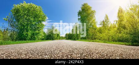 Nahaufnahme Panoramablick auf die asphaltierte Autobahn im Naturpark. Stockfoto