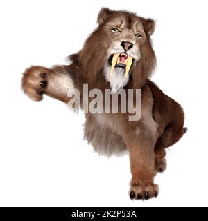 3D-Rendering sabertooth Tiger auf Weiß Stockfoto