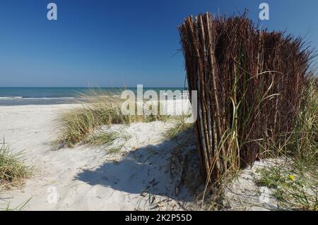 In den Dünen, ostsee, SchÃ¶nberger Strand, SchÃ¶nberg, Schleswig-Holstein, Norddeutschland Stockfoto