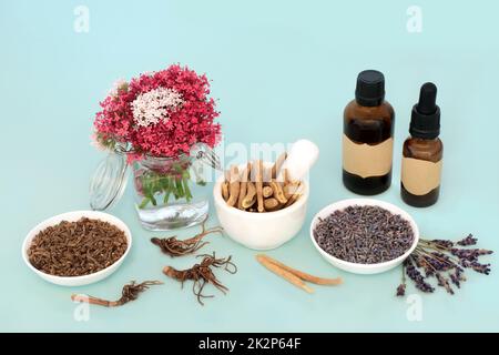 Adaptogen Stress reduzierende Kräuter verwendet natürliche pflanzliche Medizin mit Baldrian-Wurzel, ashwagandha und Lavendelblüten. Alternative heilende Blume re Stockfoto