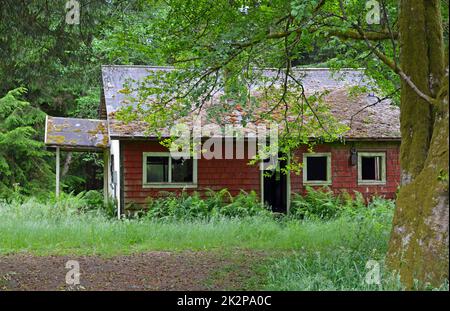 Altes verlassenes Haus Stockfoto
