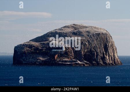 Die Bass Rock Insel und der Leuchtturm im Firth of Forth im Osten Schottlands. Bass Rock, Schottland, Vereinigtes Königreich Stockfoto