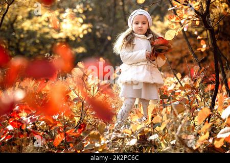 Baby Mädchen einen Strauß gelber Blätter auf Herbst Tag wählen Stockfoto