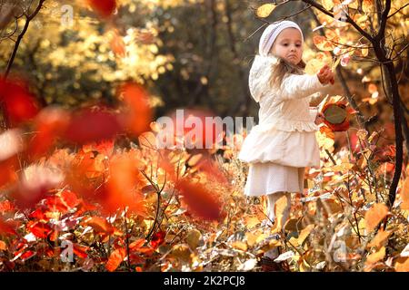 Baby Mädchen einen Strauß gelber Blätter auf Herbst Tag wählen Stockfoto