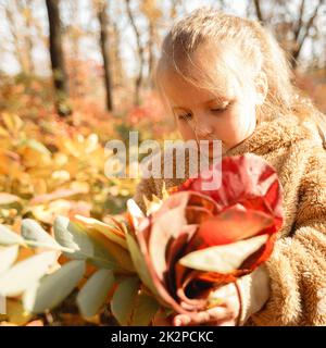 Baby Mädchen einen Strauß gelber Blätter auf Herbst Tag wählen Stockfoto