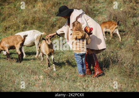 Mutter geht mit kleiner Tochter in der Nähe eine Herde von Ziegen im Herbst Stockfoto
