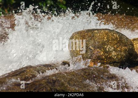 Wasserfälle hüpfen von Felsen im Naturwald. Stockfoto