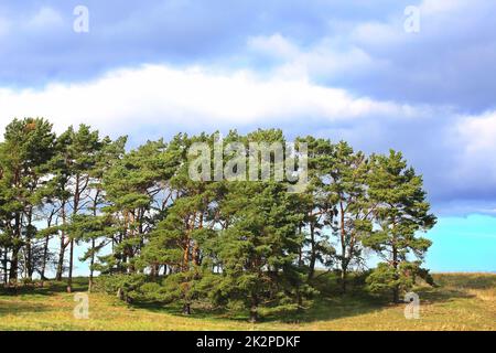 GroÃŸ Zicker Traumlandschaft auf der Ostseeinsel Rügen Stockfoto