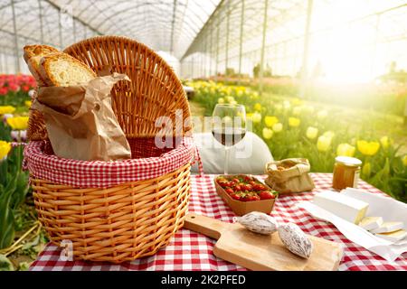 Picknickkorb mit Essen auf dem Tisch im Tulpengewächshaus bei Sonnenuntergang Stockfoto