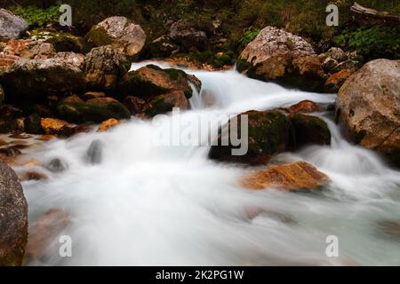 Schöne Aussicht auf einen Bergbach im Triglav Nationalpark, Slowenien Stockfoto