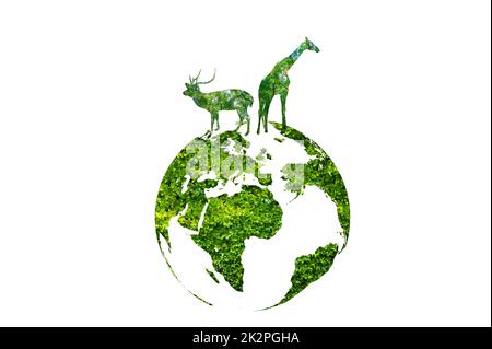 Grüne Welt mit Wildlife Silhouette, Wildlife Conservation Konzept. Stockfoto