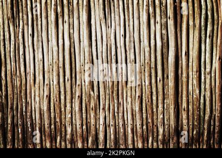 Was nennen Sie eine Gruppe von Stöcken. Nahaufnahme von Holzstämmen. Stockfoto