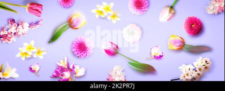 Blumen und Kräuter. Kreative Blumenkomposition im Frühling. Stockfoto