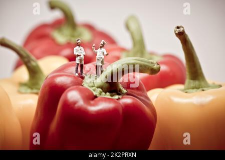 Zwei Köche debattieren über Paprika. Makrofoto Stockfoto