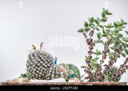 Miniaturgärtner, die in einem Kaktusgarten arbeiten Stockfoto