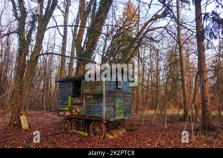 Verlassener Eisenbahnwaggon im Wald Stockfoto