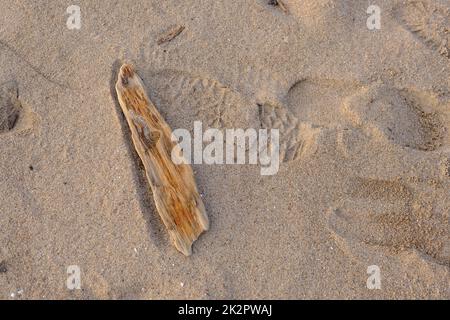 Altes Holzstück am Sandstrand mit Schuhabdruck Stockfoto