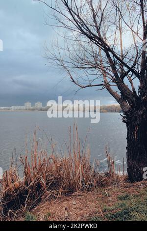 Wunderschöner Blick aus der Vogelperspektive auf Sumy und den Cheha-See. Wasserlandschaft mit Stadt an bewölkten Tagen mit alten Bäumen und Schilf Stockfoto