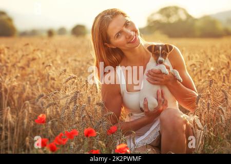 Junge Frau hält Jack Russell Terrier Welpen auf ihre Hände, roter Mohn im Vordergrund, Sonnenuntergang Weizen leuchtet Feld hinter sich. Stockfoto