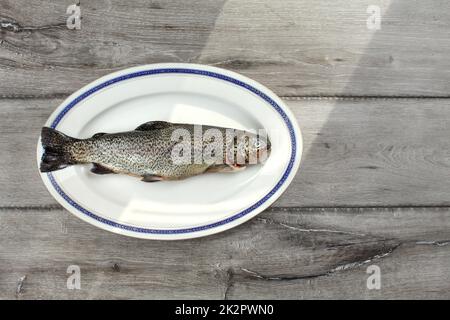 Tischplatte, rohe Forelle Fisch auf eine weiße, ovale Platte mit blauen Rand, Sonne von Seite zu grau Holz Bretter Schreibtisch unter. Stockfoto