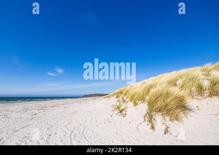 Strand und Dünen in Vitte auf der Insel Hiddensee, Deutschland Stockfoto