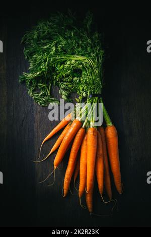 Bio-Karotten mit grünem Stiel auf dunklem Holzhintergrund Stockfoto