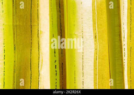 Grüngelb-weiße Hintergrundstruktur mit abstraktem Muster – helltransparentes Seidengewebe aus feiner Strickmode für Design, Web oder Präsentation. Vorlage. Stockfoto