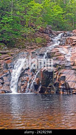 Ruhiger Wasserfall im Wald Stockfoto