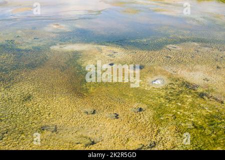 Hveravellir Thermalquellen, Hochland von Island Stockfoto