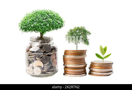 Baum auf Geld sparen Münzen im Gras-Glas, Wachstum Geschäft Finanzierung Einsparung Investitionskonzept. Stockfoto