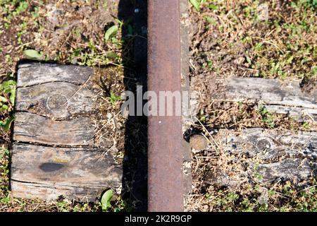Eine Nahaufnahme einer verlassenen Eisenbahnstrecke, umgeben von Gras Stockfoto