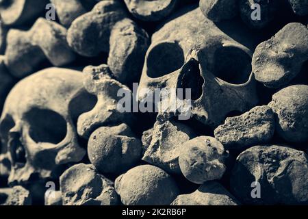 Schädel und Knochen in einer Wand Stockfoto