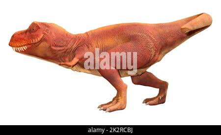 3D Rendering Tyrannosaurus Rex auf Weiß Stockfoto