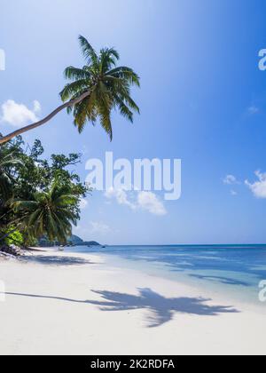 Seychellen, Praslin - Anse St. Sauveur Stockfoto