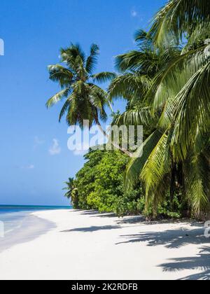 Seychellen, Praslin - Anse St. Sauveur Stockfoto