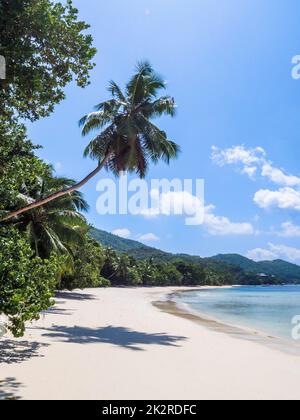 Seychellen, Praslin - Anse St. Sauveur Stockfoto