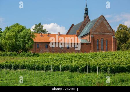 Dominikanische Backsteinkirche aus dem 13.. Jahrhundert und Kloster St. James and Cloister Vineyard, Sandomierz, Polen. Stockfoto