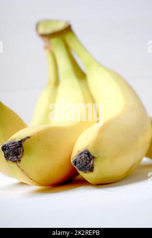 Stillleben und Nahaufnahme eines Bananenstaudes Stockfoto