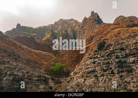 Steile vulkanische Klippen an einer Foggy Coast Stockfoto