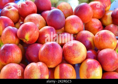 Reife Nektarinen (Latin Prunus persica) der Neuernte Stockfoto