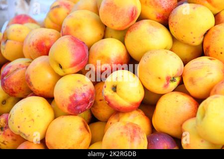 Reife Nektarinen (Latin Prunus persica) der Neuernte Stockfoto