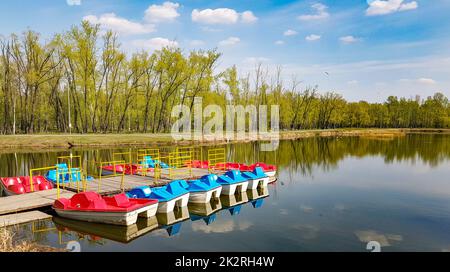 Farbenfrohe Katamarane stehen am hölzernen Pier in einer Reihe. Ruhige Oberfläche des Sees für Wassersportangebote. Ein leerer Ufer an einem frühen Frühlings- oder Sommersonnenmorgen Stockfoto