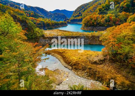 Okaw 4000 Herbstblätter Stockfoto